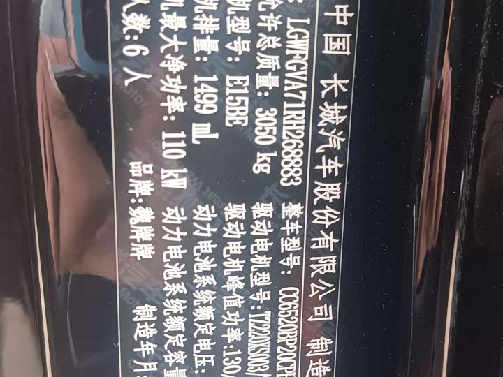 Фото 5 - Wey Lanshan