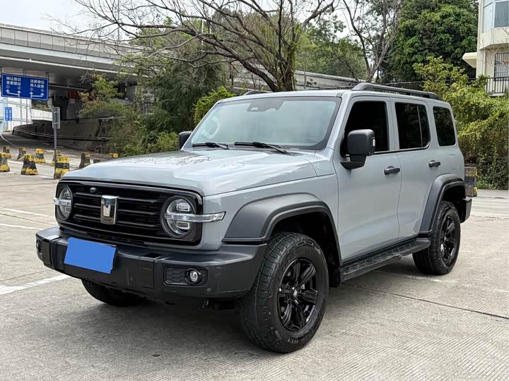 Фото 1 - Tank 300