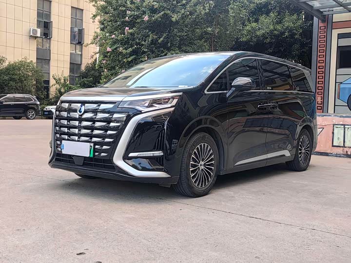 Фото 1 - Denza D9