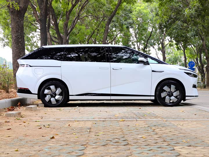 Фото 4 - XPeng X9