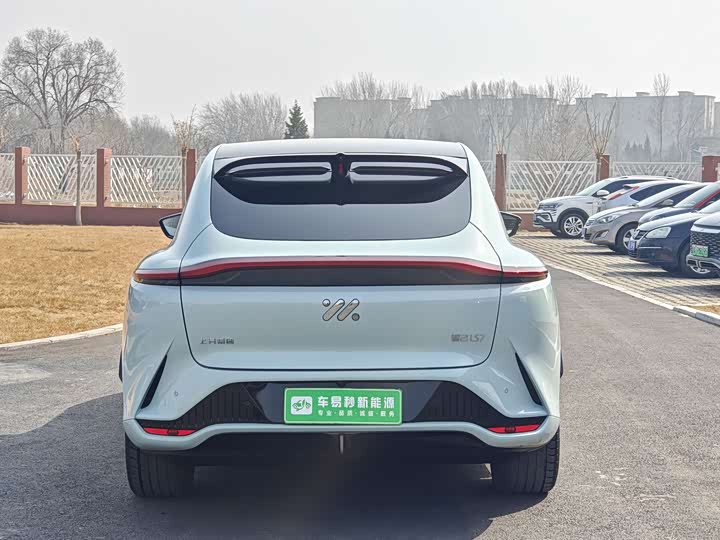 Фото 5 - IM motors LS7