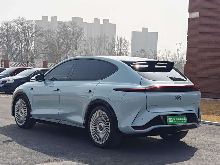 Фото 6 - IM motors LS7