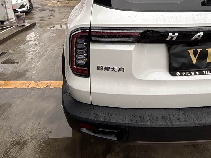 Photo 6 - Haval Dargo