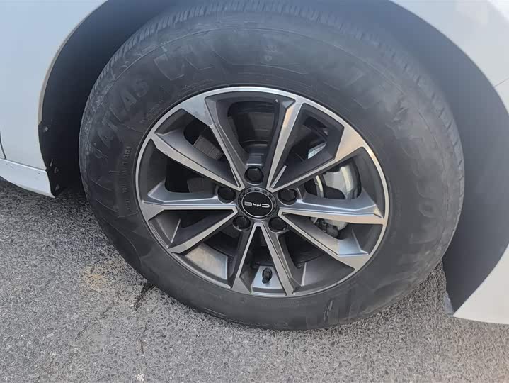 Фото 6 - BYD Destroyer 05