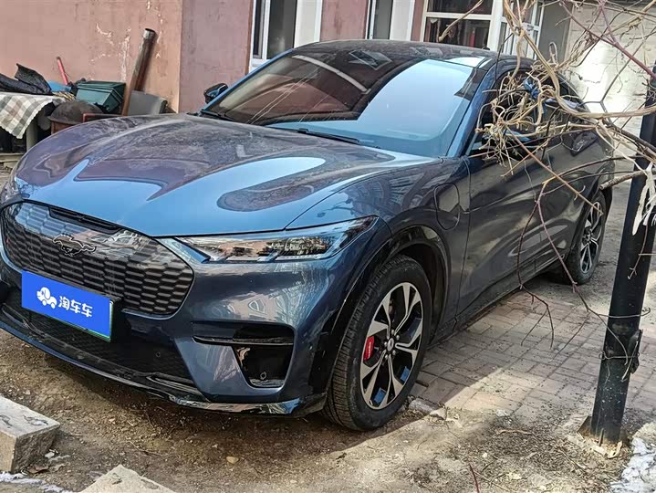 Фото 1 - Ford Mustang Mach-E