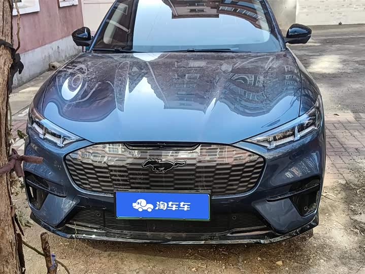 Фото 2 - Ford Mustang Mach-E