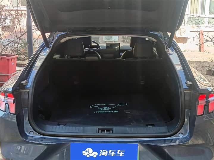 Фото 4 - Ford Mustang Mach-E