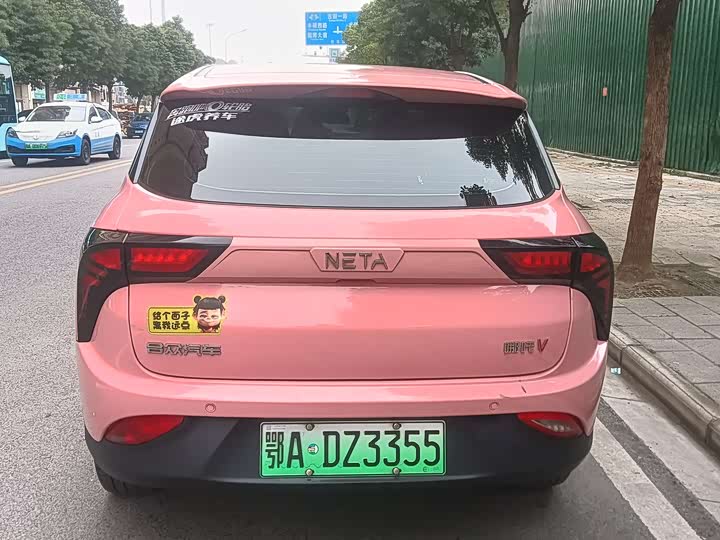 Фото 8 - Hozon V