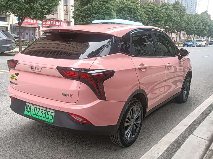 Фото 9 - Hozon V