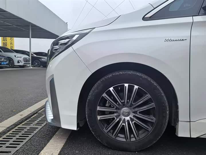 Фото 8 - GAC Trumpchi M8