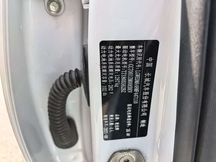 Фото 8 - Ora White Cat