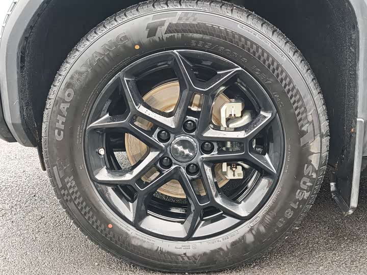 Фото 5 - BYD FangChengBao Titanium 3 (Tai 3)