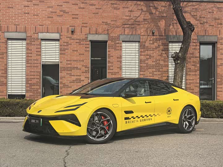 Фото 1 - Lotus Emeya