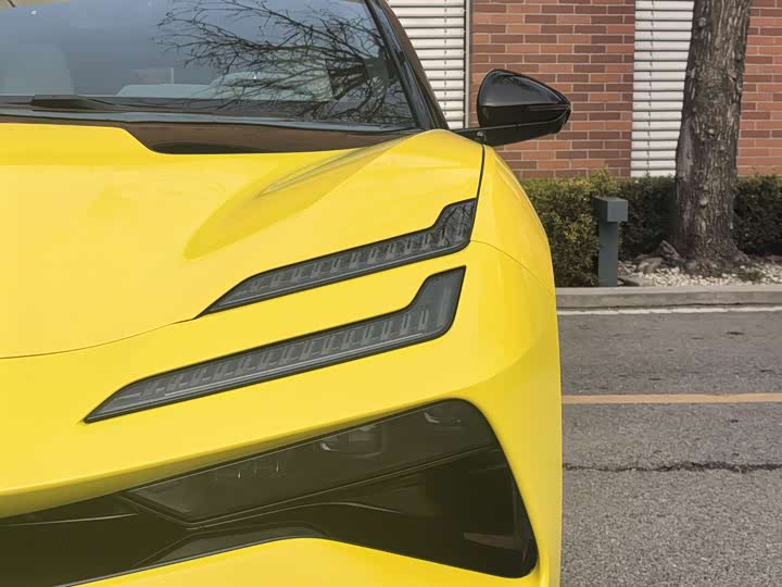 Фото 5 - Lotus Emeya