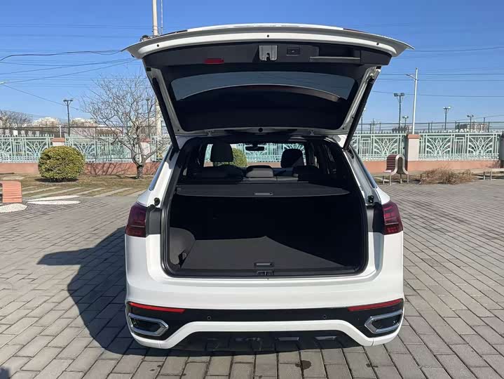 Volkswagen Tayron 2021 2021款 380TSI 四驱R-Line智联版