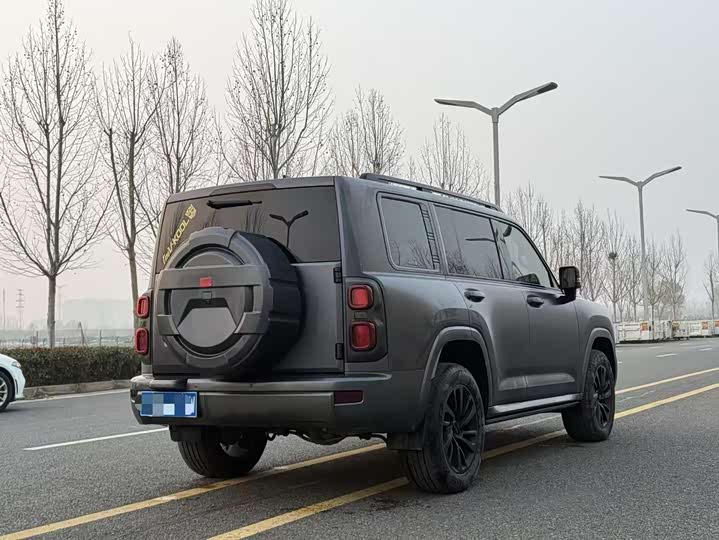 Фото 9 - Haval H9