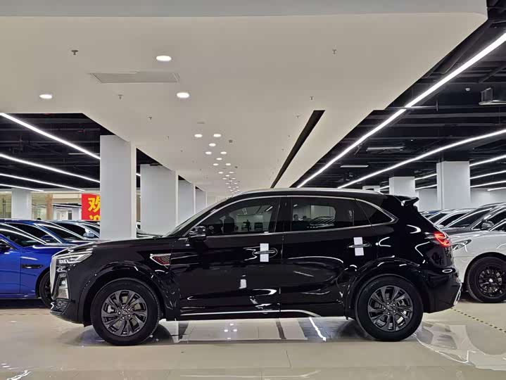 Photo 8 - Hongqi HS5