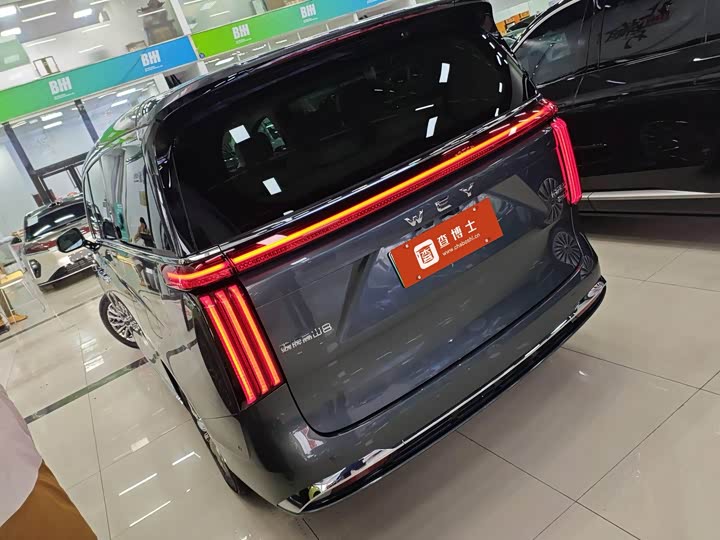 Фото 2 - Wey Gaoshan