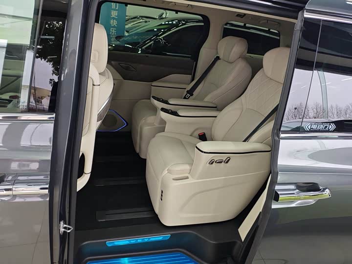 Фото 4 - Wey Gaoshan