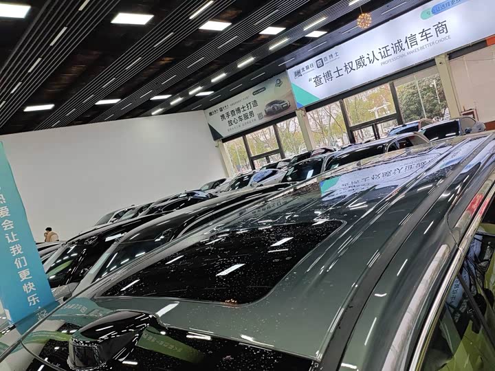 Фото 5 - Wey Gaoshan