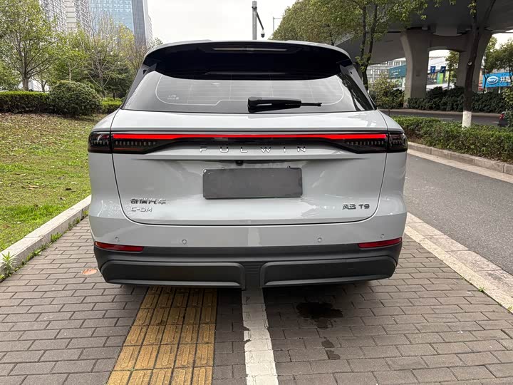 Фото 8 - Chery Fulwin T9