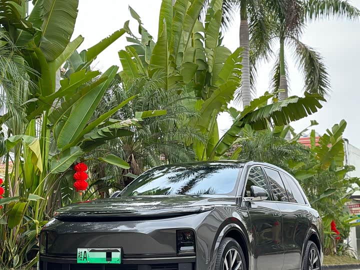 Фото 6 - LiXiang L8