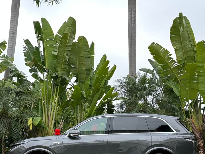 Фото 7 - LiXiang L8