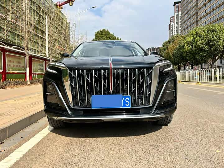 Фото 2 - Hongqi HS3