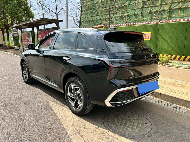 Фото 7 - Hongqi HS3