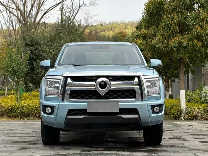 Photo 2 - Great Wall King Kong Poer