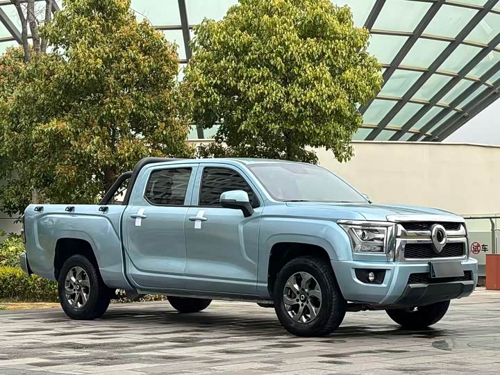 Photo 3 - Great Wall King Kong Poer