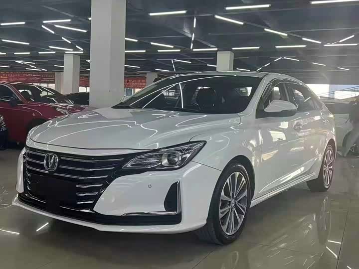 Фото 1 - Changan Raeton CC