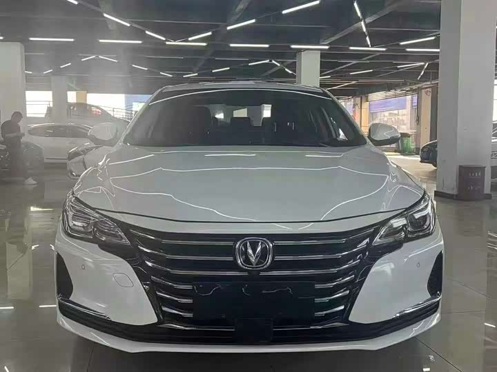 Фото 2 - Changan Raeton CC