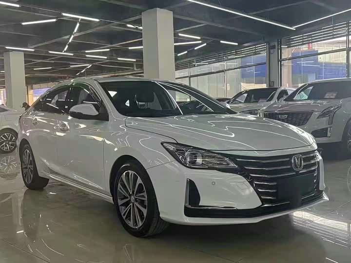 Фото 3 - Changan Raeton CC