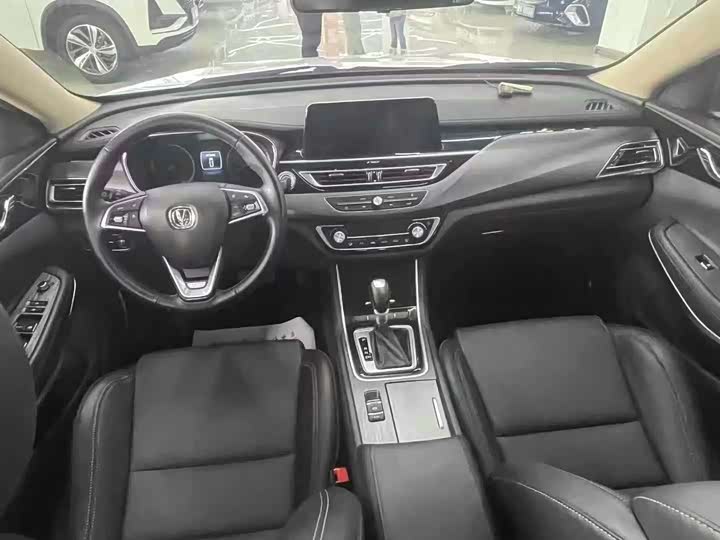 Фото 6 - Changan Raeton CC