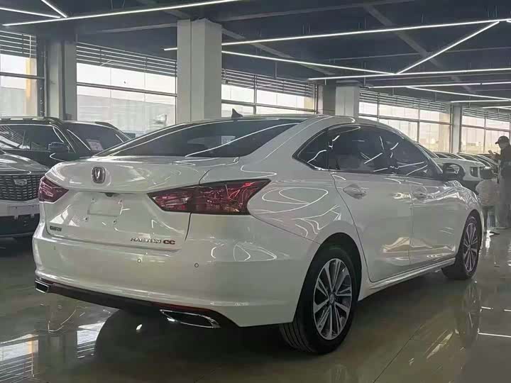 Фото 9 - Changan Raeton CC