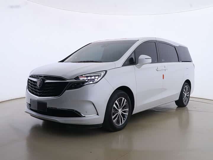 Фото 1 - Buick GL8 ES