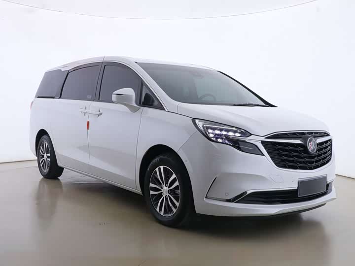 Фото 3 - Buick GL8 ES