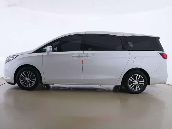 Фото 6 - Buick GL8 ES