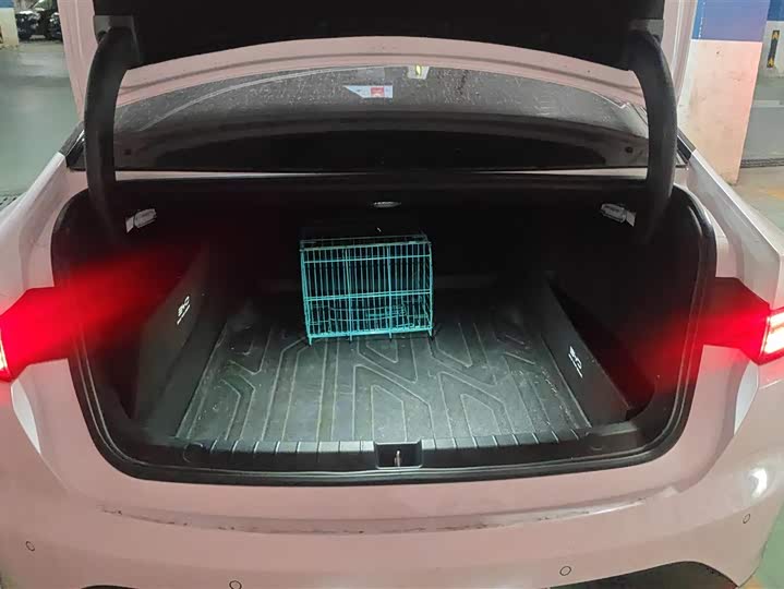 Фото 4 - BYD Destroyer 05