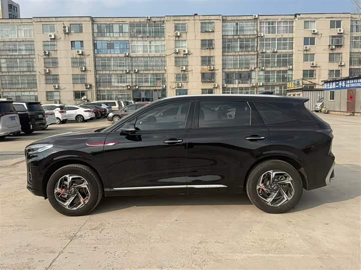 Фото 3 - Hongqi HS3