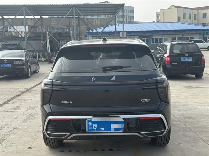 Фото 5 - Hongqi HS3