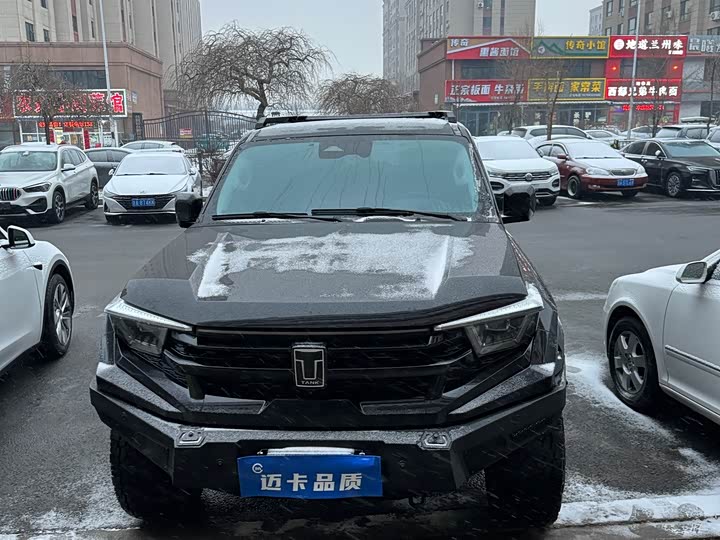 Photo 3 - Tank 400 Hybrid