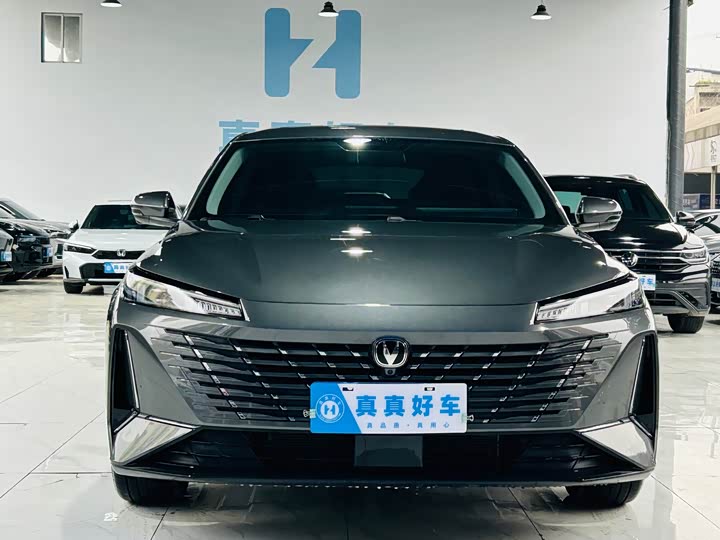 Фото 2 - Changan Eado Plus