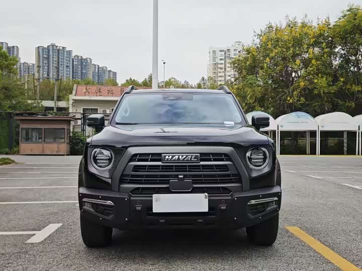 Фото 2 - Haval H-Dog