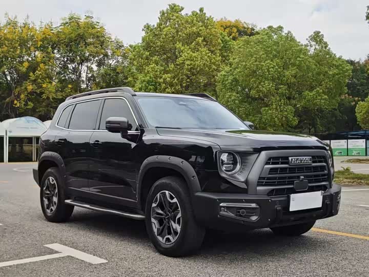 Фото 3 - Haval H-Dog