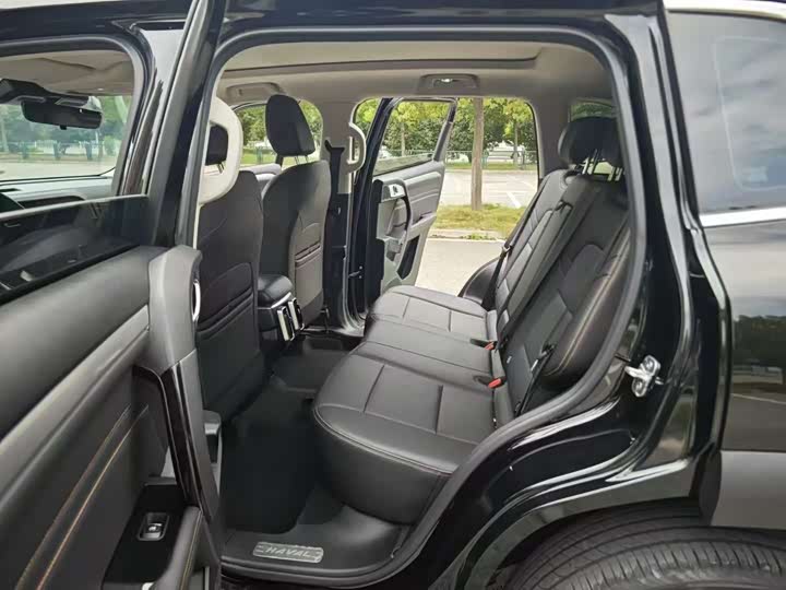 Фото 5 - Haval H-Dog