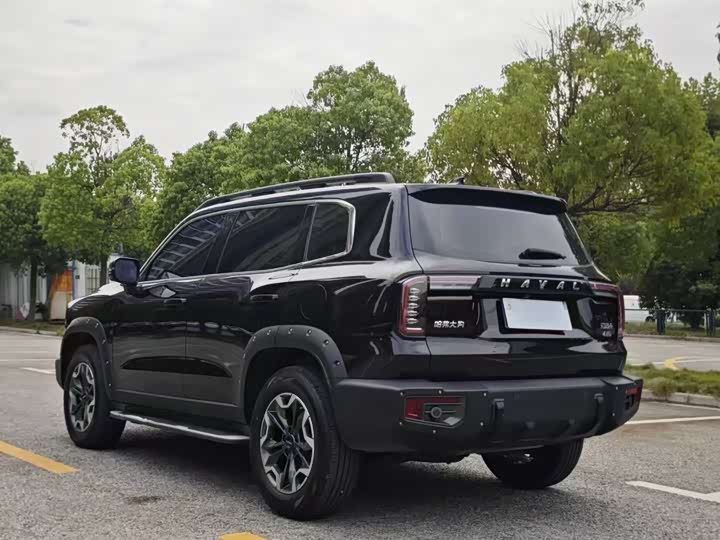 Фото 7 - Haval H-Dog