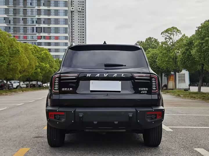 Фото 8 - Haval H-Dog