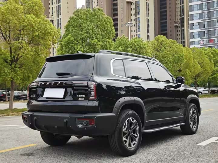 Фото 9 - Haval H-Dog